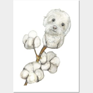 Coton de Tulear Posters and Art